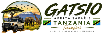 gatsio safari logo