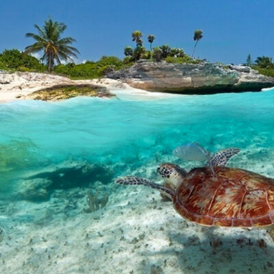 Zanzibar and Safari